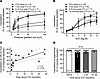 Microvascular endothelial dysfunction persists after treatment cessation.