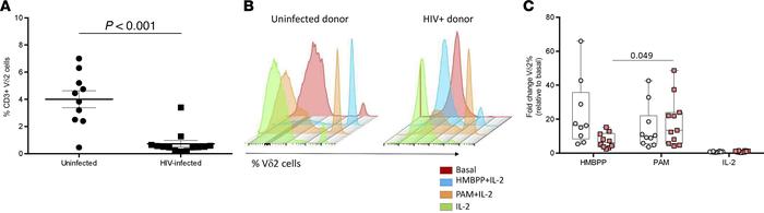 Expansion of Vδ2 cells after 6 days of culture.
(A) Greater Vδ2 cell fre...