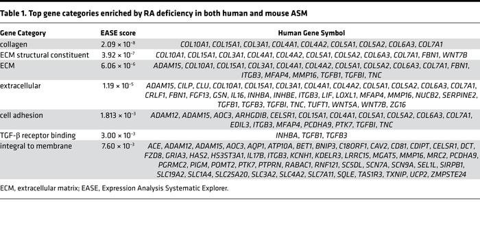Top gene categories enriched by RA deficiency in both human and mouse ASM