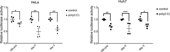 Poly (I:C) inhibited AAV transgene expression in cell lines.
HeLa or Huh...