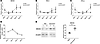 dsRNA immune response is activated at a later time point after AAV transduc