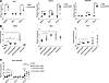 dsRNA response profile in different cell lines and different transgenes.