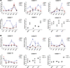 dsRNA innate immune response in human primary hepatocytes after scAAV2/GFP