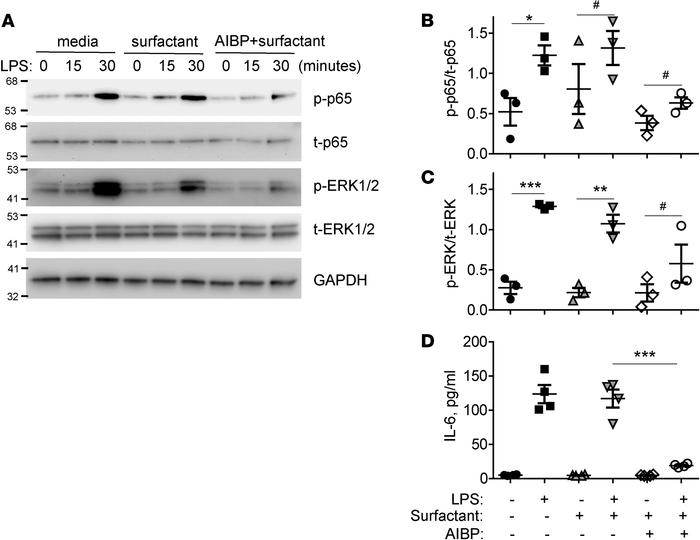 AIBP inhibits LPS-induced inflammatory responses in alveolar macrophages...