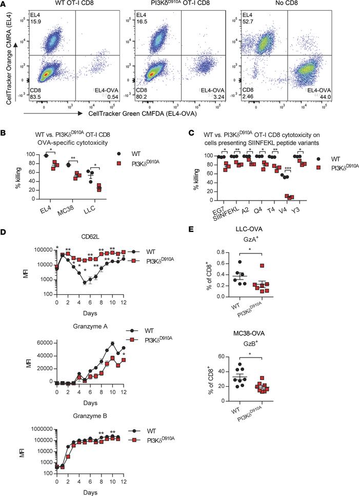 PI3KδD910A CD8+ T cells show functional defects.
In vitro assays were co...