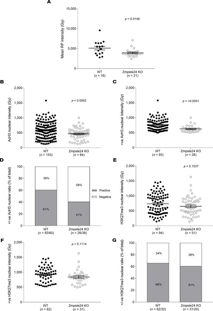 Expression of acetyl-histone H3 (Lys9/Lys14) and actin (phalloidin) in m...