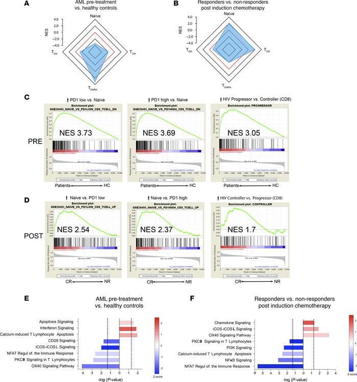 GSEA and biological pathways analysis from the pretreatment and posttrea...