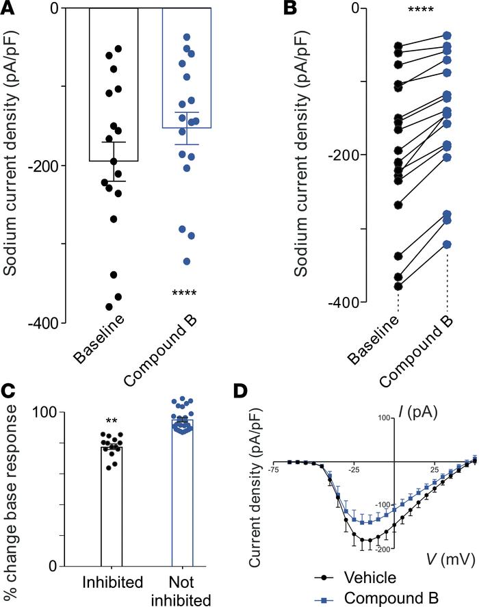 Compound B reduces sodium currents in colon-innervating DRG neurons.
(A)...