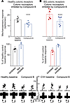 Effect of Compound B on colonic nociceptive afferents.