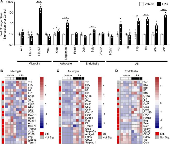 Comparison of transcriptional profiles in bulk brain and concurrently is...