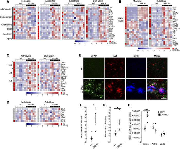 Cell type–specific response to amyloid pathology in APP NL-G-F knockin m...