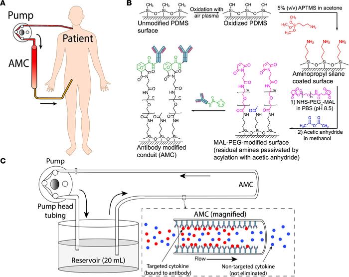 Antibody-modified conduits (AMCs).
(A) Schematic of extracorporeal selec...