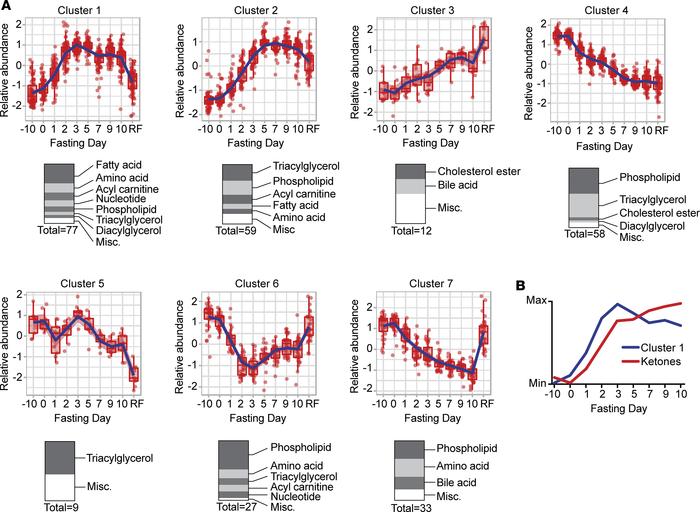 Temporal metabolite starvation phases revealed by cluster analysis.
(A) ...