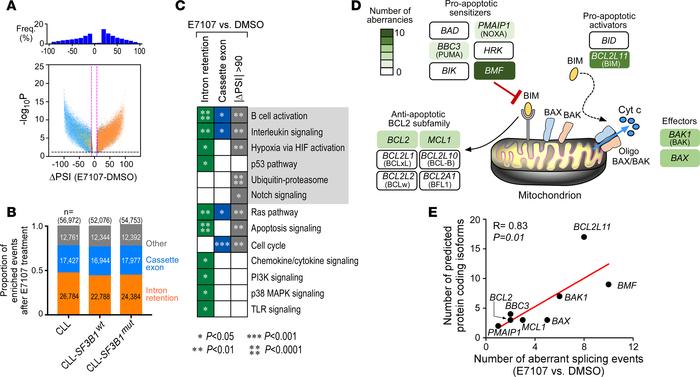 Splicing modulation by E7107 treatment broadly affects the CLL transcrip...
