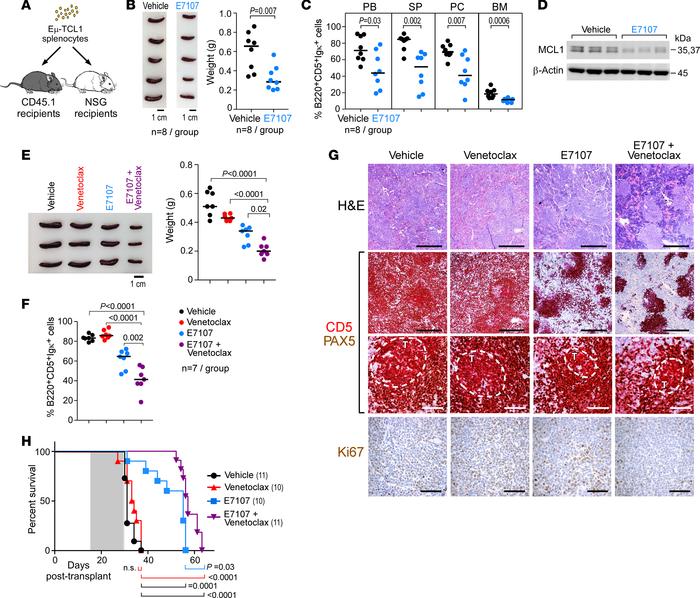 Splicing modulation overcomes venetoclax resistance in vivo in the Eμ-TC...