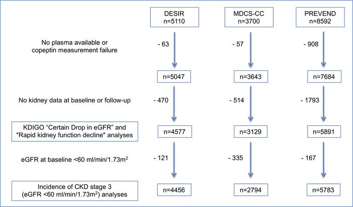 Flow diagram of the participants in the study.
Copeptin was measured in ...