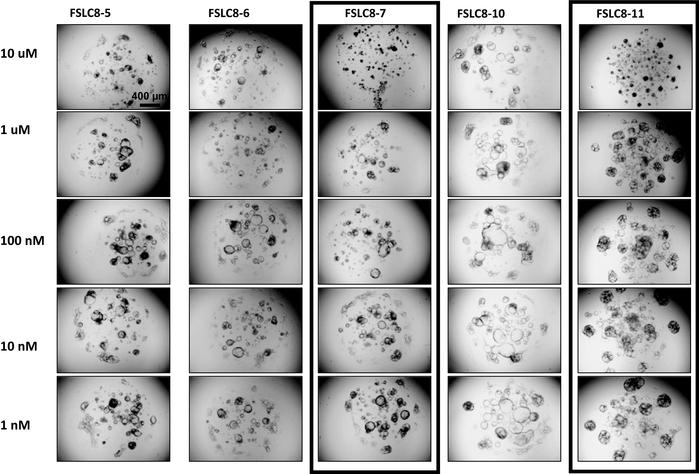 Comparing gene expression to drug response in patient CCA8.
Heatmaps gen...