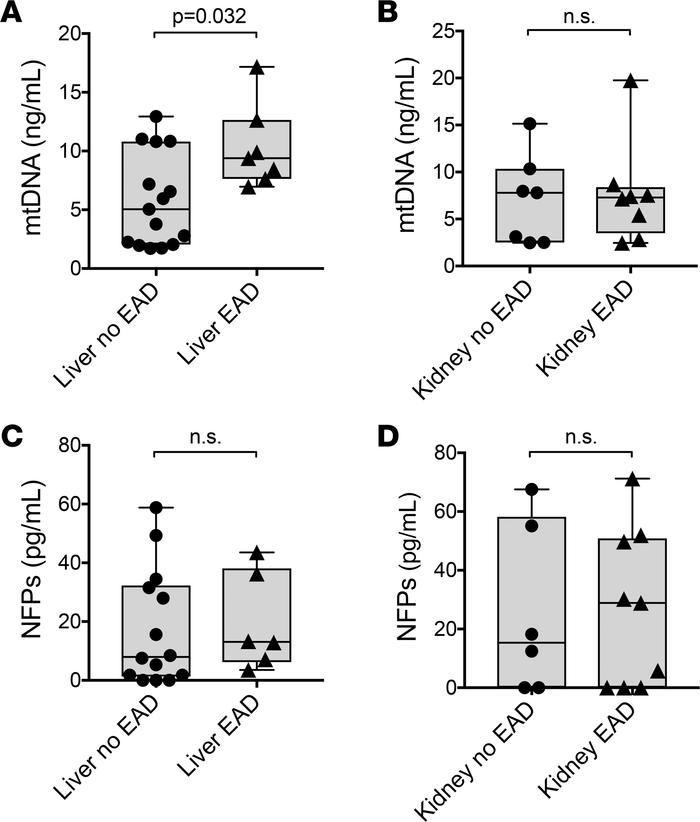 Donor plasma mitochondrial DNA levels correlate with early allograft dys...