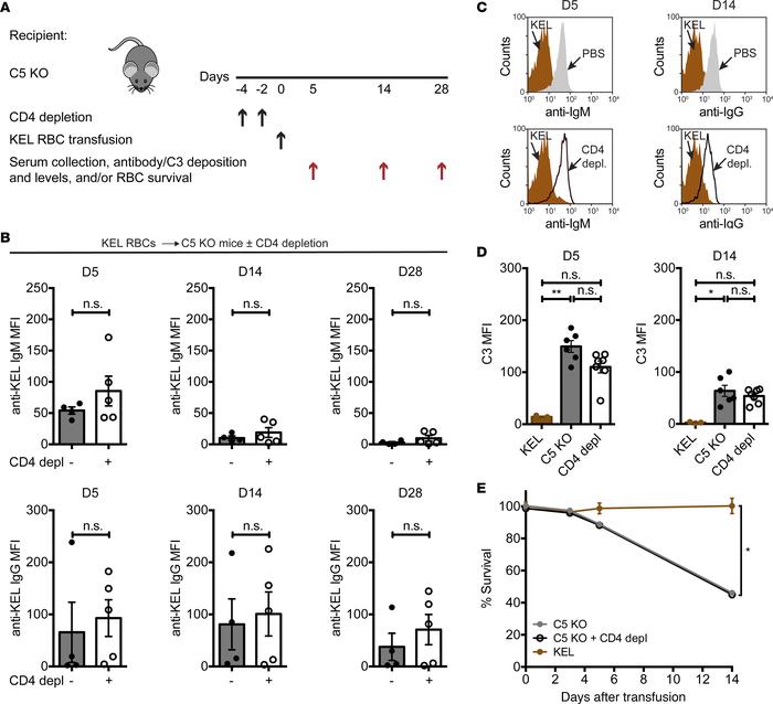 Anti-KEL antibodies formed in the absence of C5 do not require CD4+ T ce...