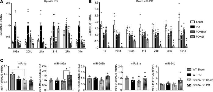 Effect on miRs from alternative stimulation of GC-1 or GC-2A signaling.
...