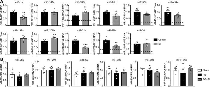 PDE5 inhibition in the normal heart and stressed lung.
(A) qRT-PCR was p...