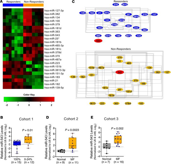 miRNA expression profiles in BM of MF patients differ according to ruxol...