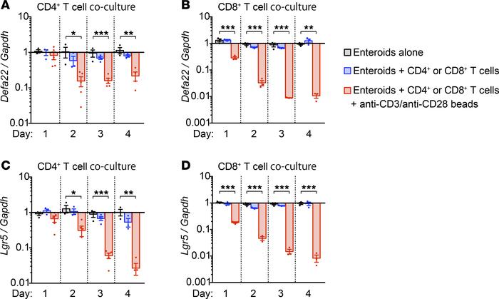 Activated T cells reduce Paneth cell and Lgr5+ ISC marker mRNA levels.
(...