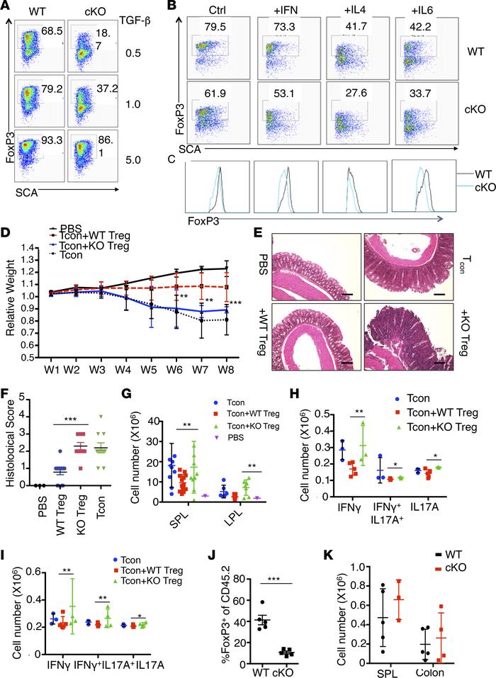 Hrd1fl/fl-FoxP3cre mice exhibit impaired generation and function of TGF-...