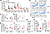 Decreased FoxP3+ Treg frequencies and reduced FoxP3 stability in Hrd1fl/fl-