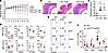 Reduced Treg suppressive function and altered Treg signature profiles Hrd1f