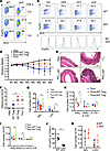Hrd1fl/fl-FoxP3cre mice exhibit impaired generation and function of TGF-β–c