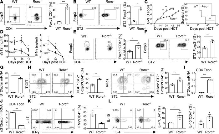 Rorc deficiency alleviates aGVHD severity associated with increased freq...