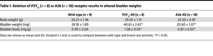 Deletion of P2Y12 (n = 8) or A2b (n = 10) receptor results in altered bl...
