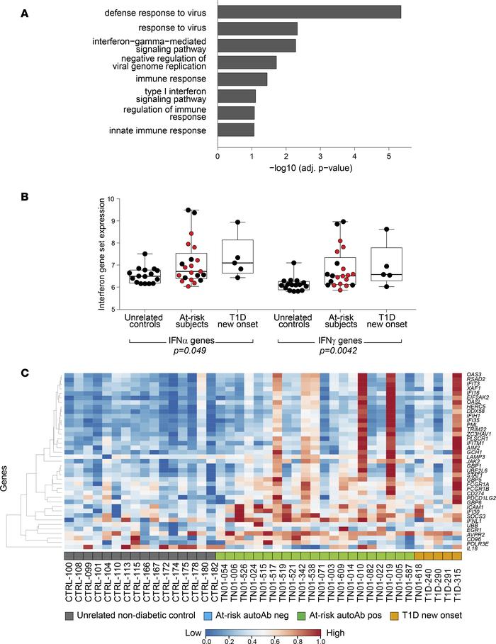 IFN-inducible gene expression signature characterizes circulating neutro...