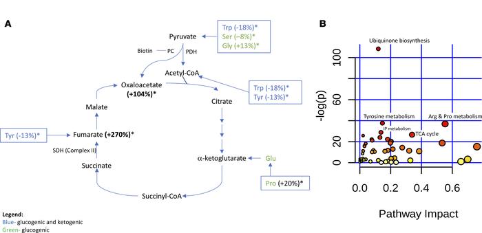 Comparison of fasting metabolomic profiles and pathway differences betwe...