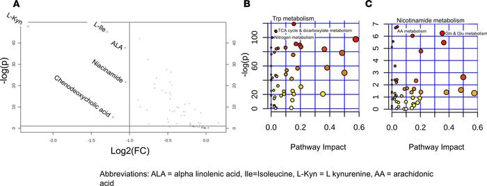 Comparison of metabolite concentrations before and during the insulin in...