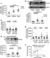 The levels of ST6GAL1 mRNA/protein and association with T2 inflammation in