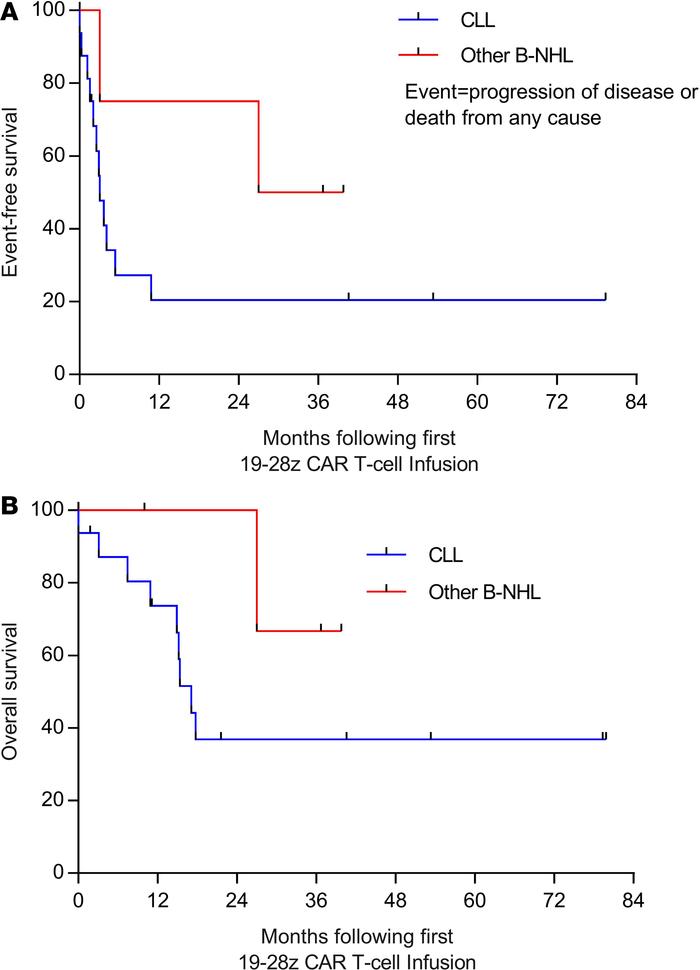 Survival outcomes.
EFS (A) and OS (B) are depicted for patients with CLL...