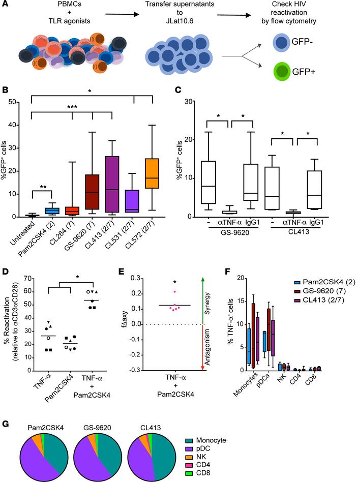 The ability TLR7 agonists to reactivate HIV is mediated by TNF-α.
(A) Sc...