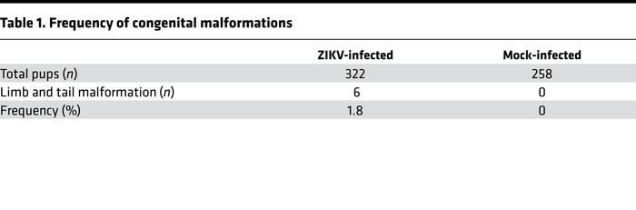 Frequency of congenital malformations