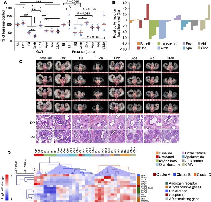 
Ar-ASO blockade is more effective at suppressing mouse Pten-deficient p...