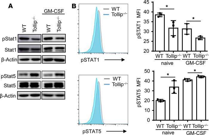 Tollip deficiency released the neutrophil suppression on T cell prolifer...
