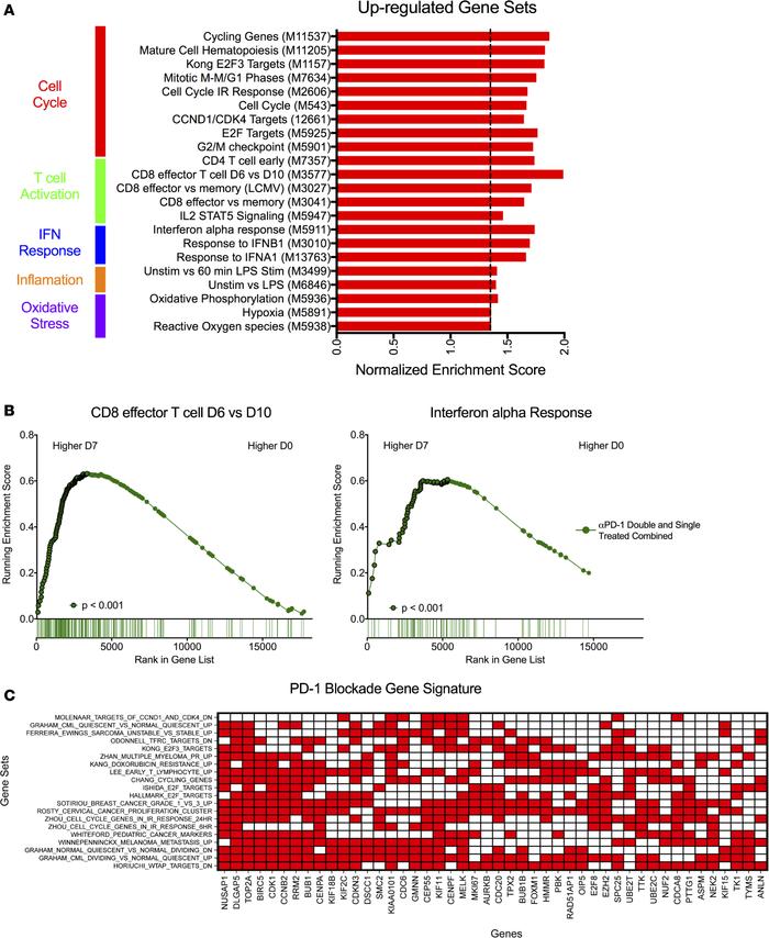 PD-1 blockade during suppressive ART (phase II) stimulates antiviral cel...
