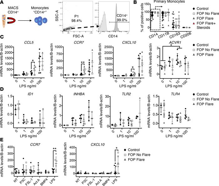 Increased response to LPS by primary FOP monocytes.
(A) Primary monocyte...