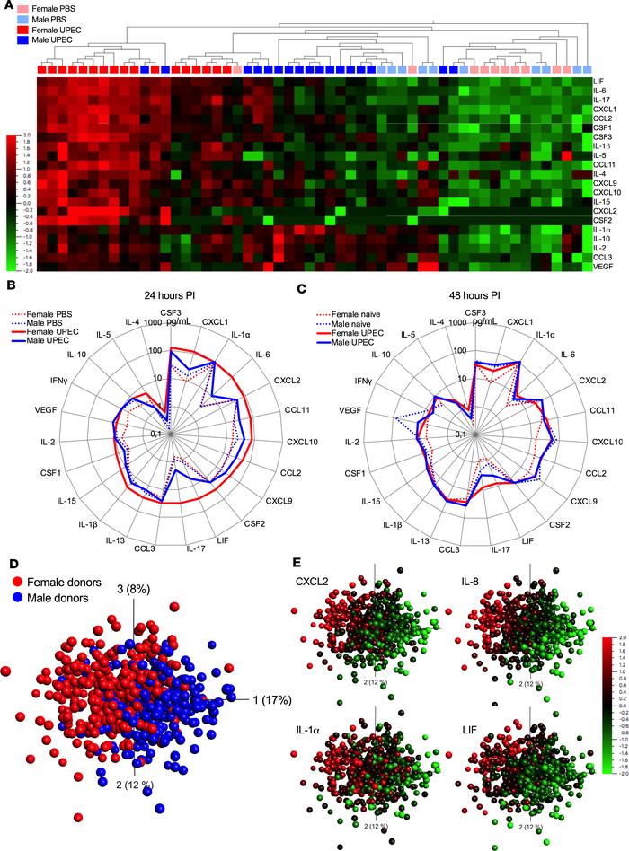 Females exhibit a more robust cytokine response to E.

colithan males. (...