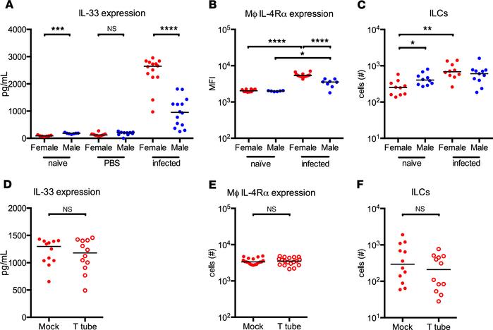 Female mice display characteristics of a type II immune response that is...