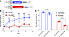 Expressing unphosphorylable pRb conditionally in POMC neurons inhibits DIO.