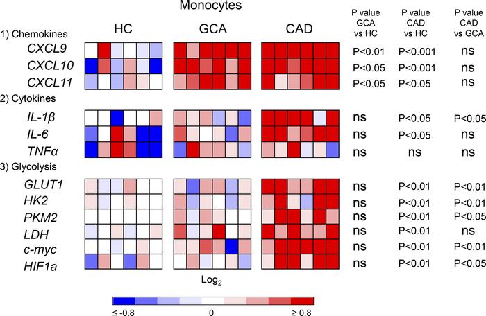 Gene expression profiles are preserved from monocytes to macrophages.
Bl...