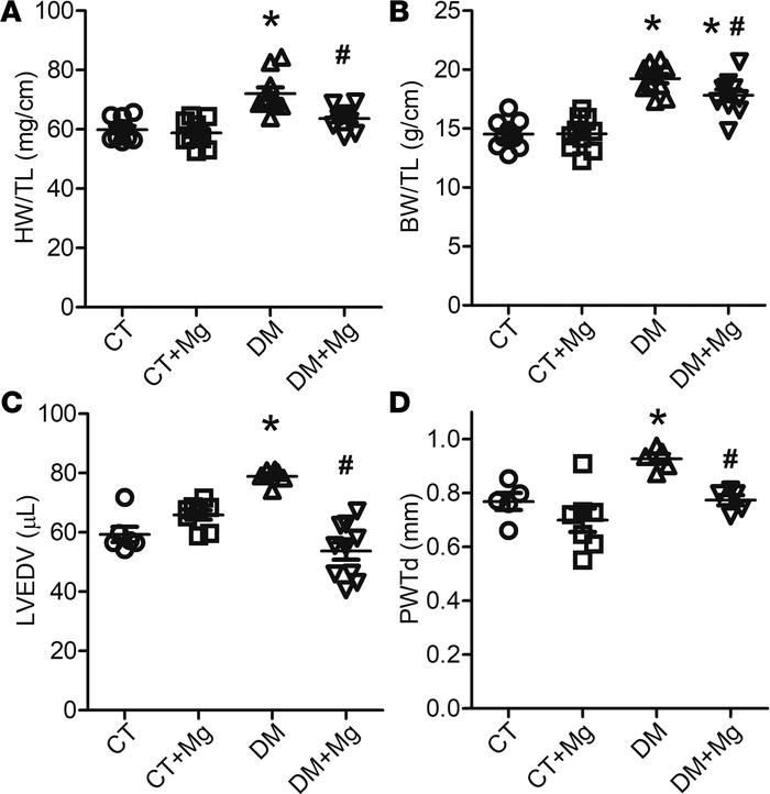 Dietary Mg mitigated cardiac hypertrophic changes in DM mice.
(A) Heart ...