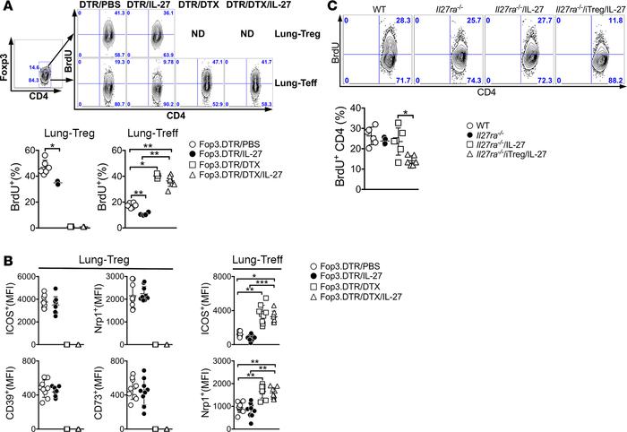 IL-27 inhibits effector T cell proliferation via Treg.
(A) Foxp3DTR mice...